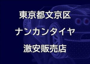 東京都文京区のナンカンタイヤ取扱販売店で圧倒的に安く交換する方法